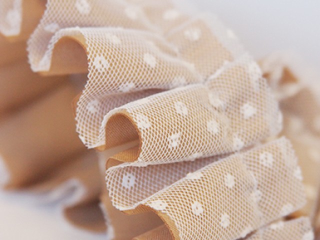 PLEATS WITH TULLE